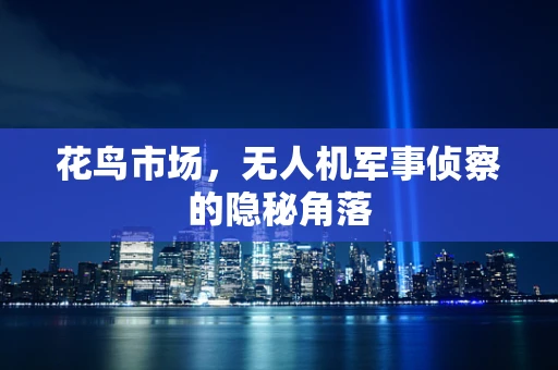 花鸟市场，无人机军事侦察的隐秘角落