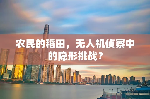 农民的稻田，无人机侦察中的隐形挑战？