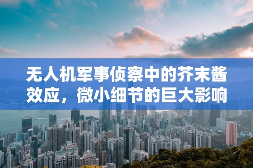 无人机军事侦察中的芥末酱效应，微小细节的巨大影响？