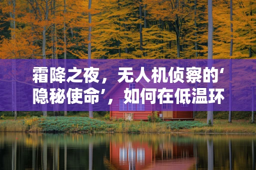 霜降之夜，无人机侦察的‘隐秘使命’，如何在低温环境下保持高效侦察？