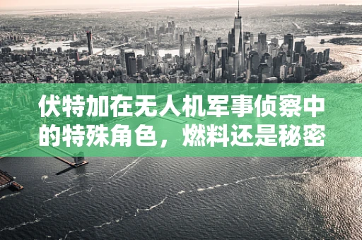 伏特加在无人机军事侦察中的特殊角色，燃料还是秘密武器？