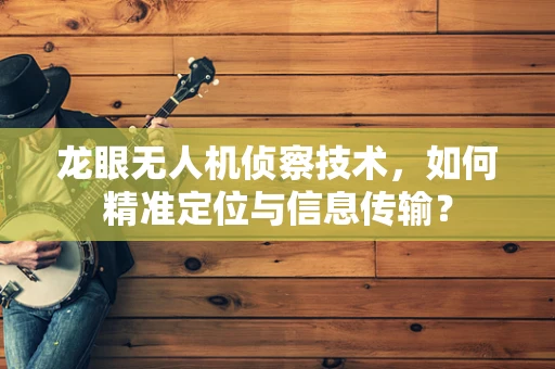 龙眼无人机侦察技术，如何精准定位与信息传输？