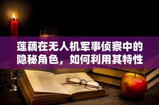 莲藕在无人机军事侦察中的隐秘角色，如何利用其特性优化隐蔽侦察？