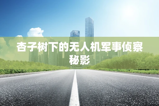 杏子树下的无人机军事侦察秘影