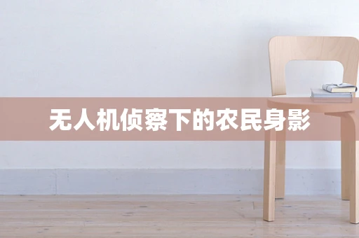 无人机侦察下的农民身影