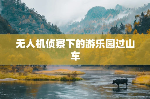 无人机侦察下的游乐园过山车