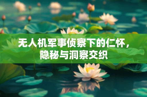 无人机军事侦察下的仁怀，隐秘与洞察交织