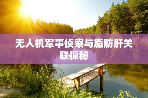 无人机军事侦察与脂肪肝关联探秘