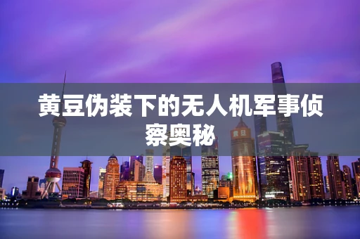 黄豆伪装下的无人机军事侦察奥秘