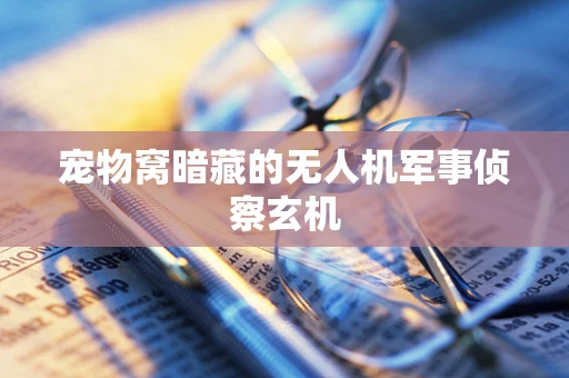 宠物窝暗藏的无人机军事侦察玄机
