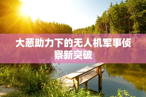 大葱助力下的无人机军事侦察新突破