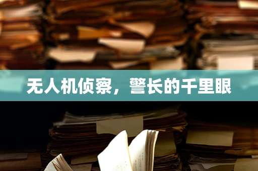无人机侦察，警长的千里眼
