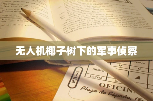 无人机椰子树下的军事侦察