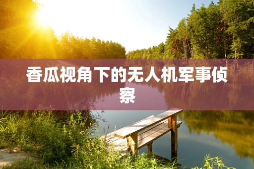 香瓜视角下的无人机军事侦察