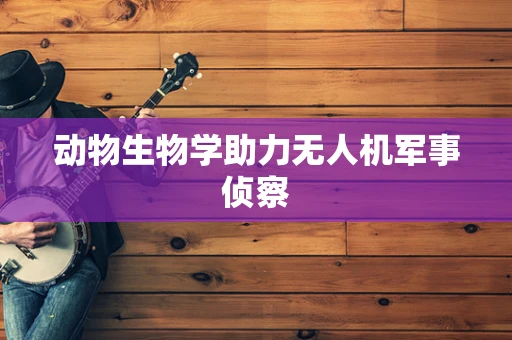 动物生物学助力无人机军事侦察