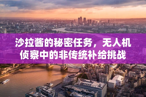 沙拉酱的秘密任务，无人机侦察中的非传统补给挑战