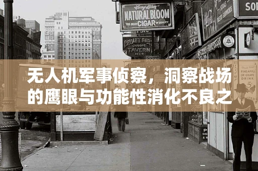 无人机军事侦察，洞察战场的鹰眼与功能性消化不良之思