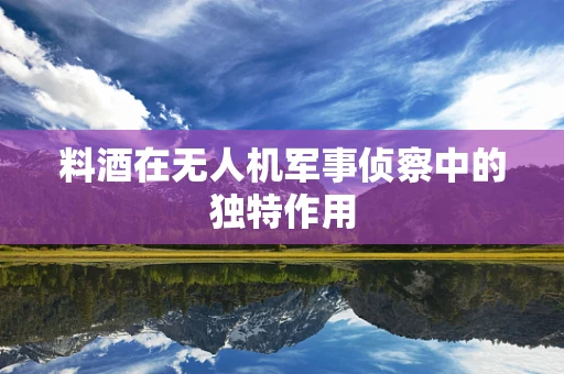 料酒在无人机军事侦察中的独特作用