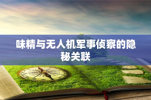 味精与无人机军事侦察的隐秘关联