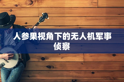 人参果视角下的无人机军事侦察