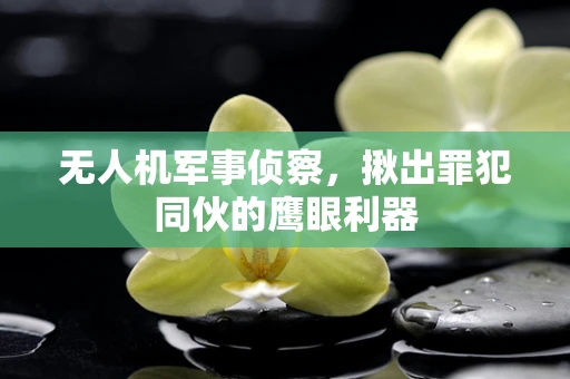 无人机军事侦察，揪出罪犯同伙的鹰眼利器