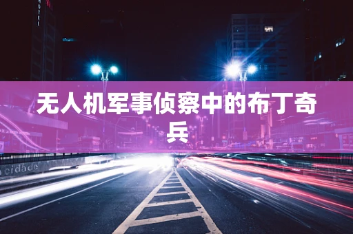无人机军事侦察中的布丁奇兵