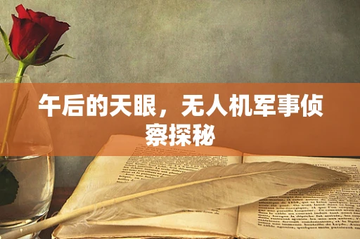 午后的天眼，无人机军事侦察探秘