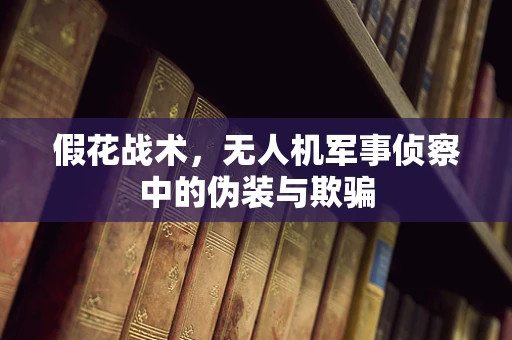 假花战术，无人机军事侦察中的伪装与欺骗