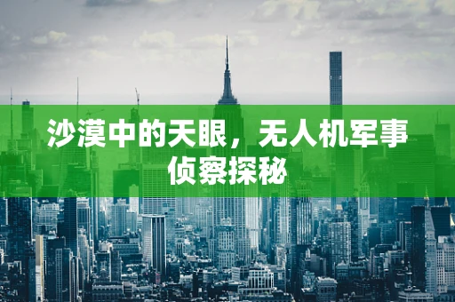 沙漠中的天眼，无人机军事侦察探秘