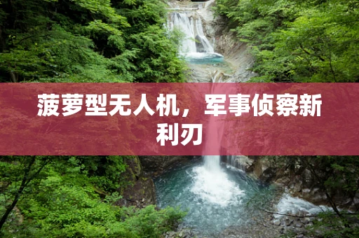 菠萝型无人机，军事侦察新利刃