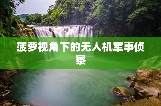 菠萝视角下的无人机军事侦察