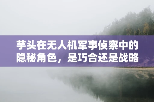 芋头在无人机军事侦察中的隐秘角色，是巧合还是战略暗语？