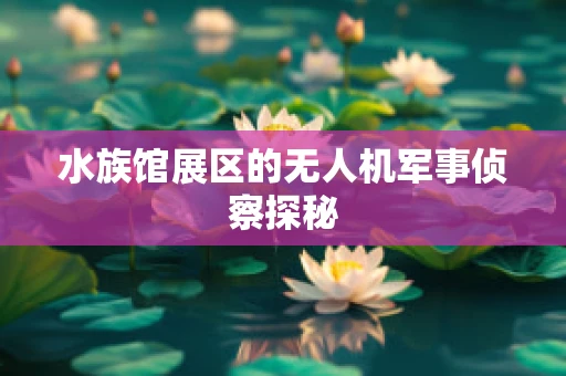 水族馆展区的无人机军事侦察探秘