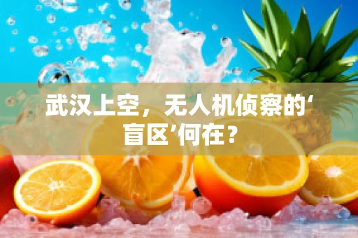 武汉上空，无人机侦察的‘盲区’何在？