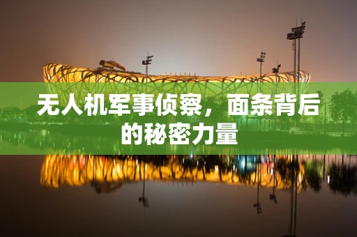 无人机军事侦察，面条背后的秘密力量
