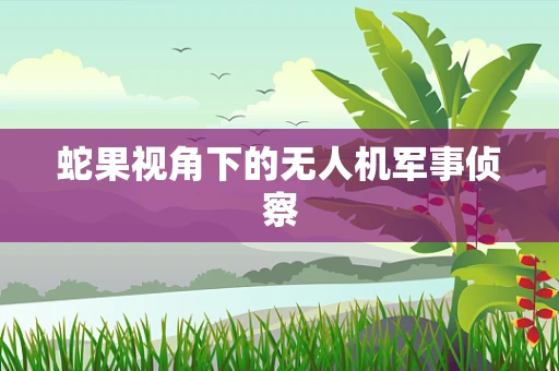 蛇果视角下的无人机军事侦察