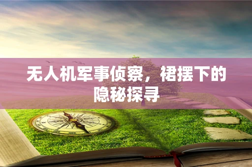 无人机军事侦察，裙摆下的隐秘探寻