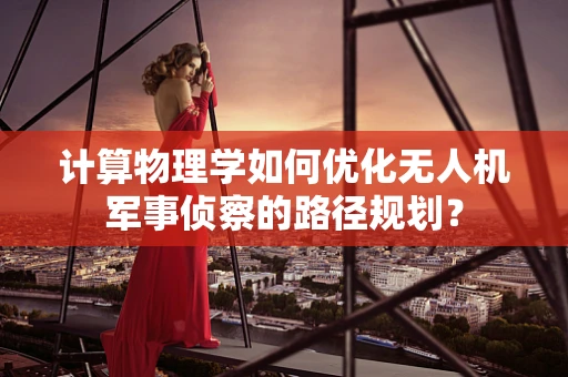 计算物理学如何优化无人机军事侦察的路径规划？