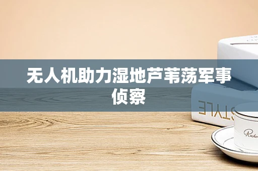 无人机助力湿地芦苇荡军事侦察