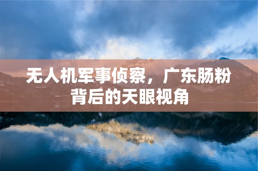 无人机军事侦察，广东肠粉背后的天眼视角