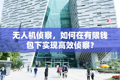 无人机侦察，如何在有限钱包下实现高效侦察？