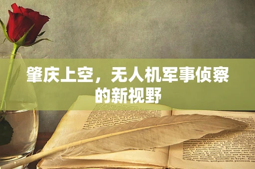 肇庆上空，无人机军事侦察的新视野