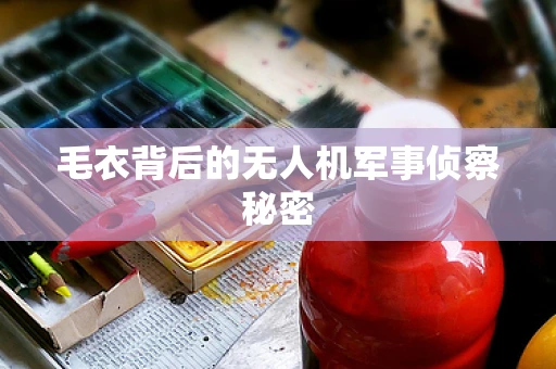 毛衣背后的无人机军事侦察秘密