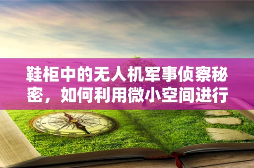 鞋柜中的无人机军事侦察秘密，如何利用微小空间进行隐秘部署？