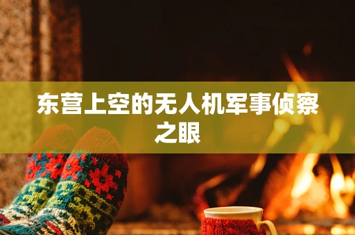 东营上空的无人机军事侦察之眼