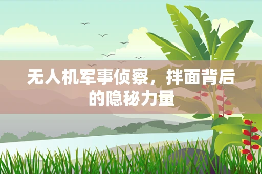 无人机军事侦察，拌面背后的隐秘力量