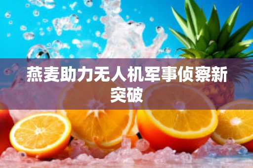 燕麦助力无人机军事侦察新突破