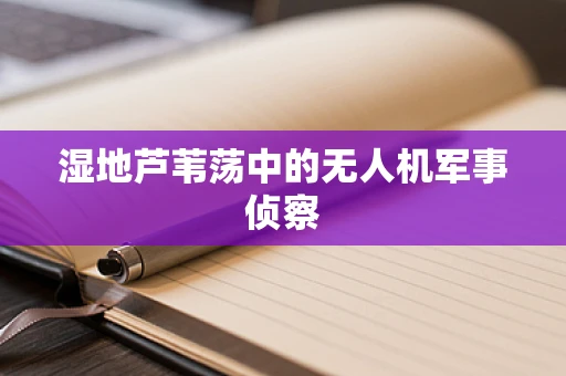 湿地芦苇荡中的无人机军事侦察