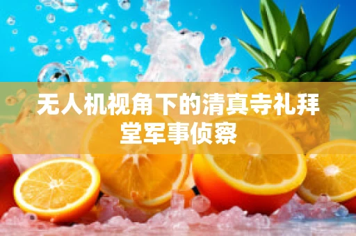 无人机视角下的清真寺礼拜堂军事侦察