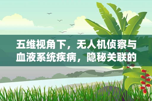 五维视角下，无人机侦察与血液系统疾病，隐秘关联的探索